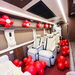 Modern living room with orange couch and plants